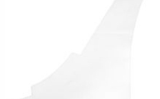 Пленка кузова защитная (1Z0807905F)